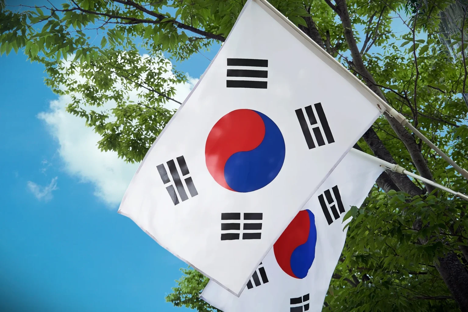 homologar estudios siendo surcoreano