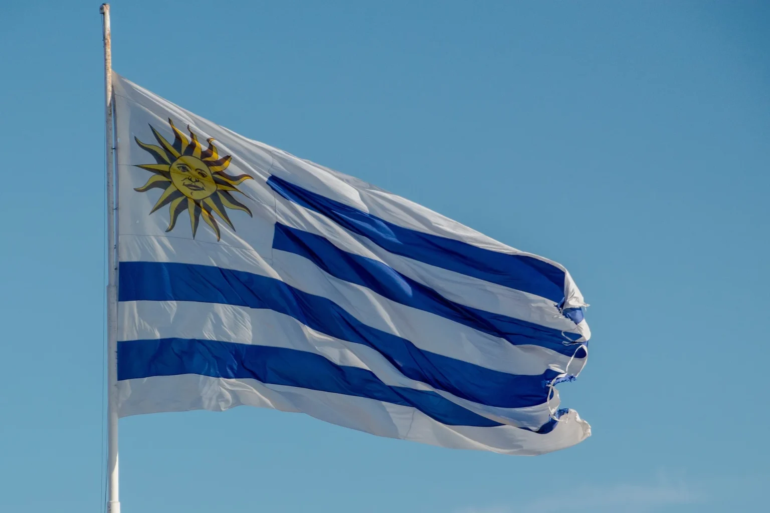 homologar estudios siendo uruguayo